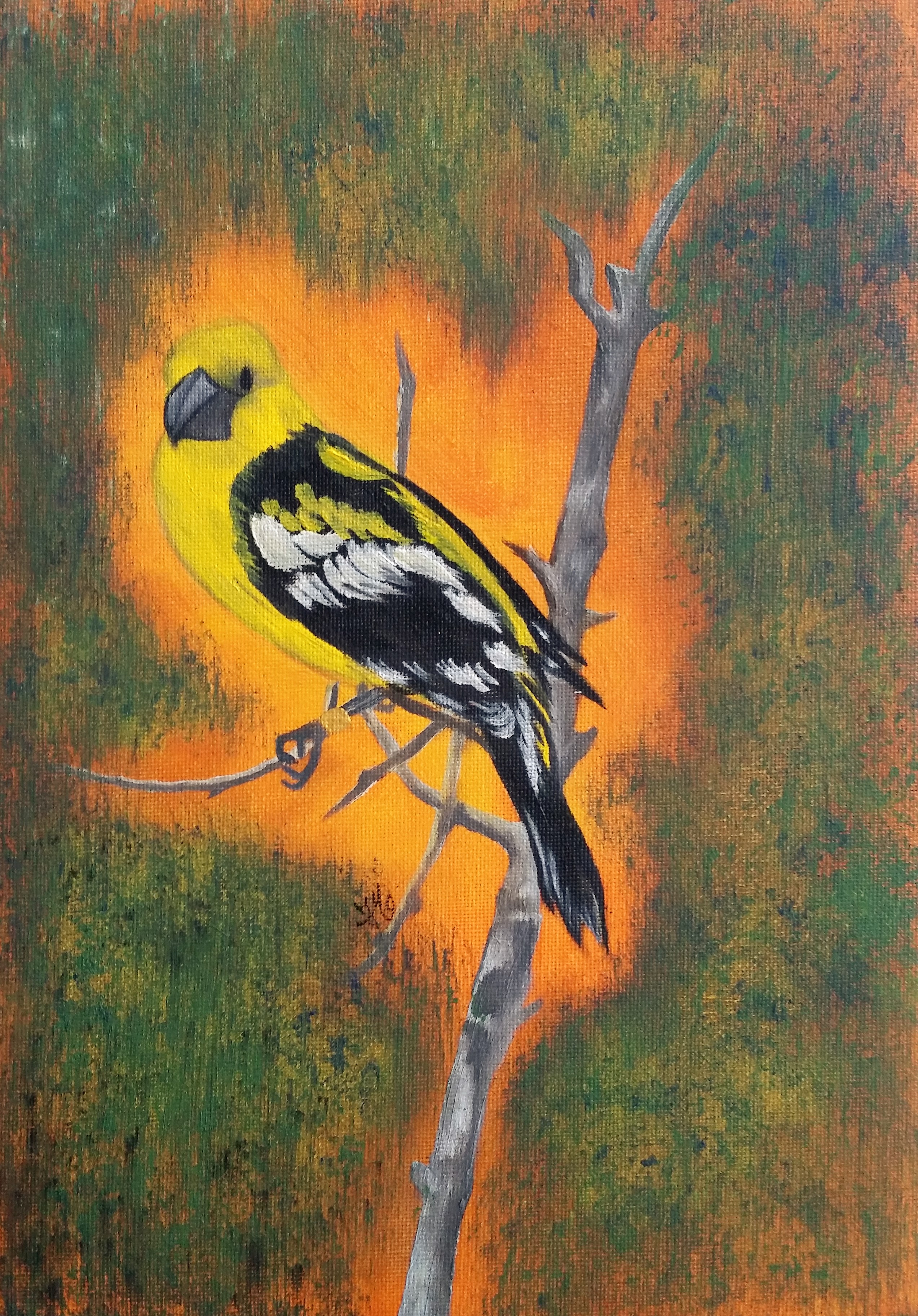 Little Yellow Bird